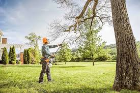 Best Lawn Watering Services  in Juarez, TX