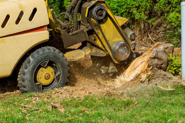 Artificial Turf Installation